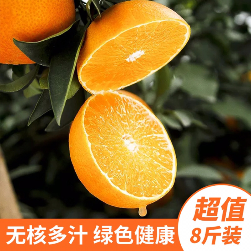 爱媛38号果冻橙手剥橙一件代发