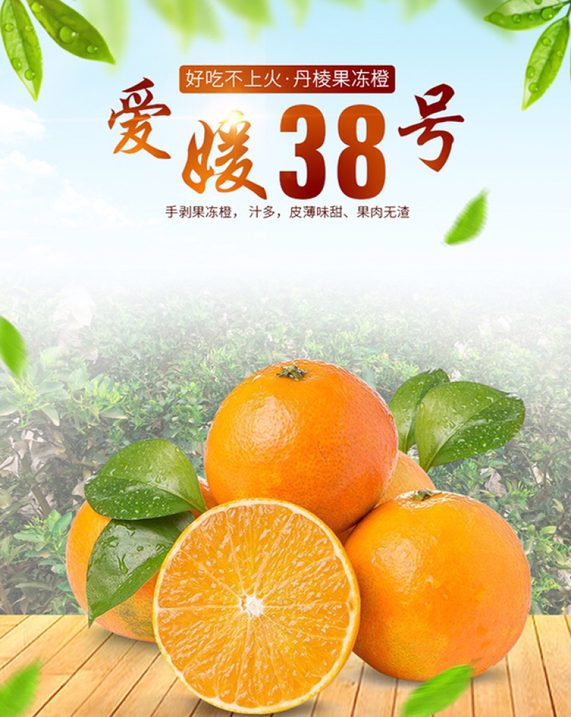 爱媛38号果冻橙手剥橙一件代发