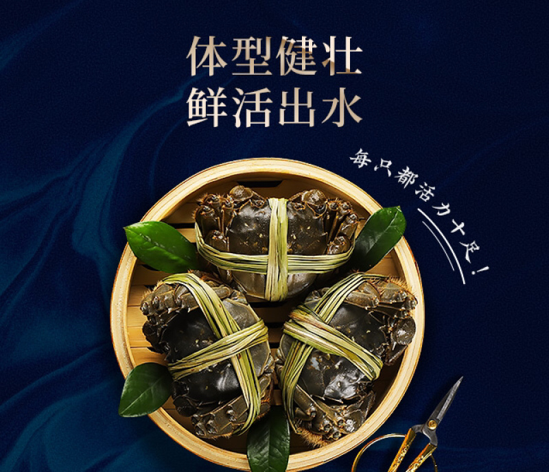 包邮，特价兴化红膏大闸蟹3公2两8只装礼盒。可定制。