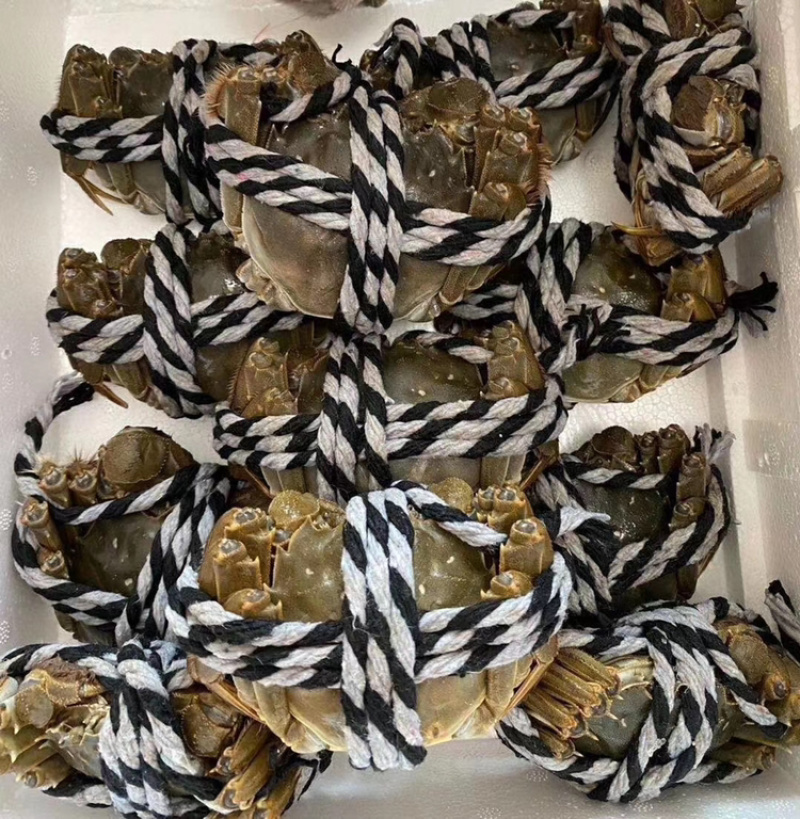 包邮，特价兴化红膏大闸蟹3公2两8只装礼盒。可定制。