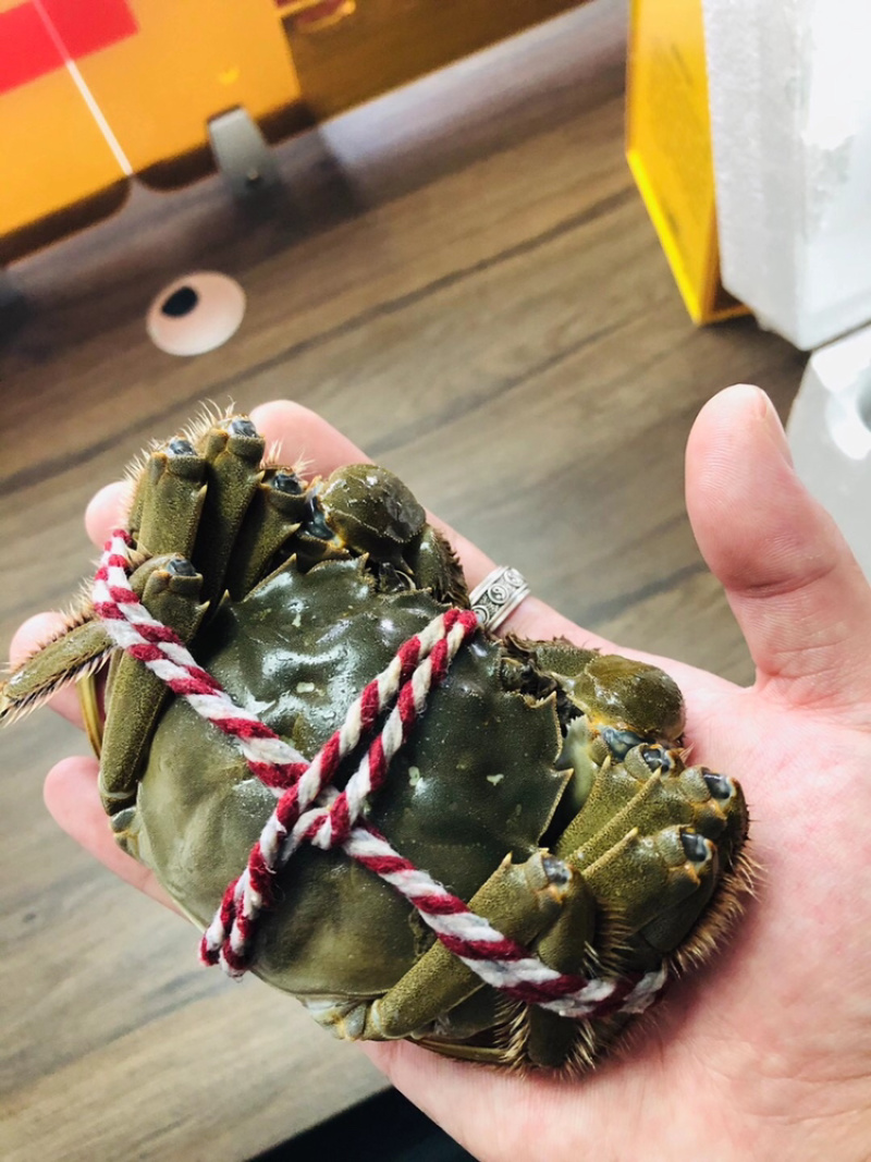 包邮，特价兴化红膏大闸蟹3公2两8只装礼盒。可定制。