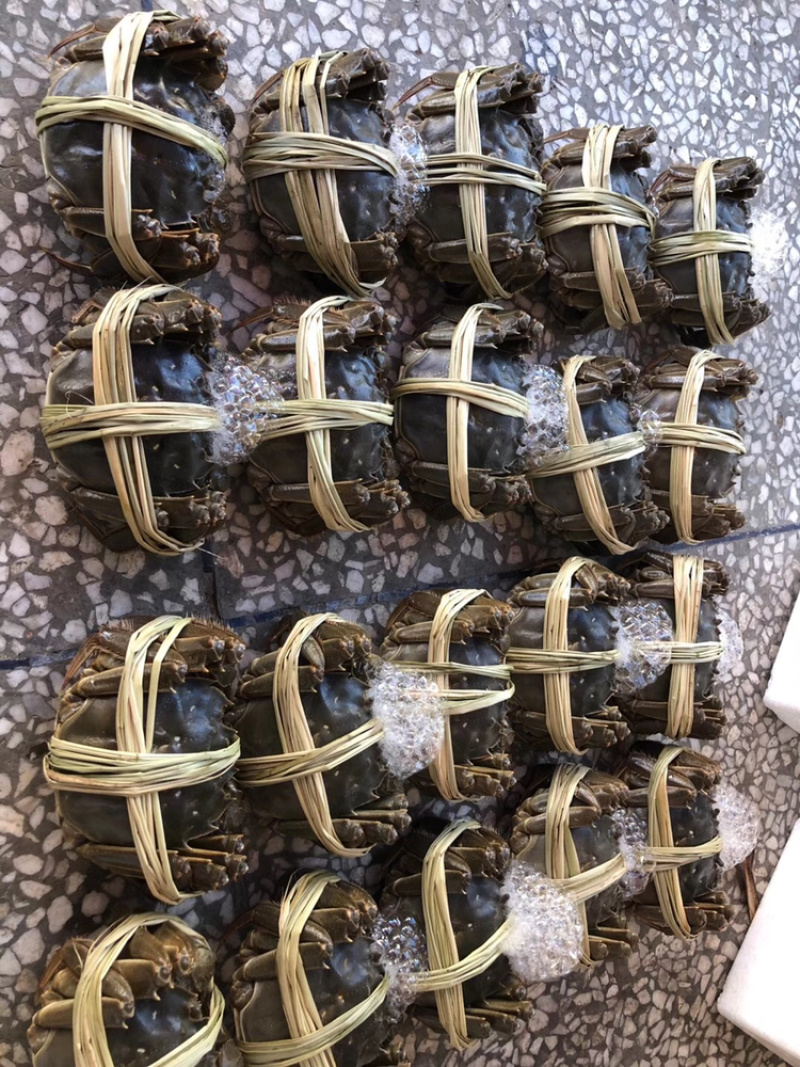 包邮，特价兴化红膏大闸蟹3公2两8只装礼盒。可定制。