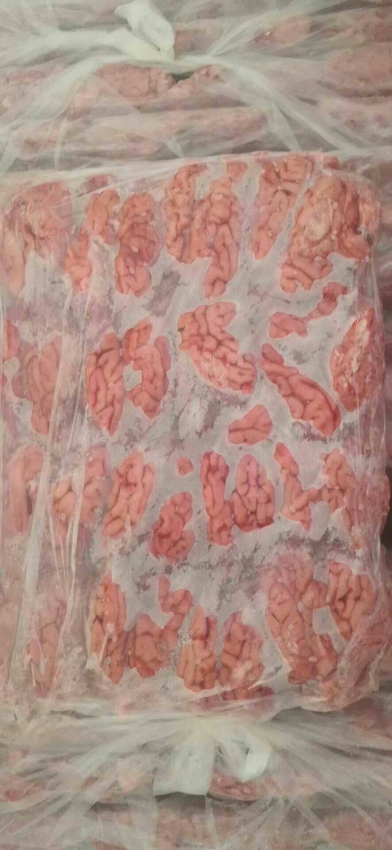 猪脑，脑花，新鲜冻猪脑