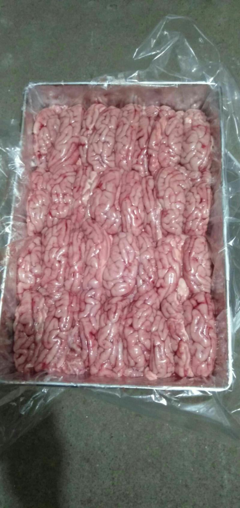 猪脑，脑花，新鲜冻猪脑