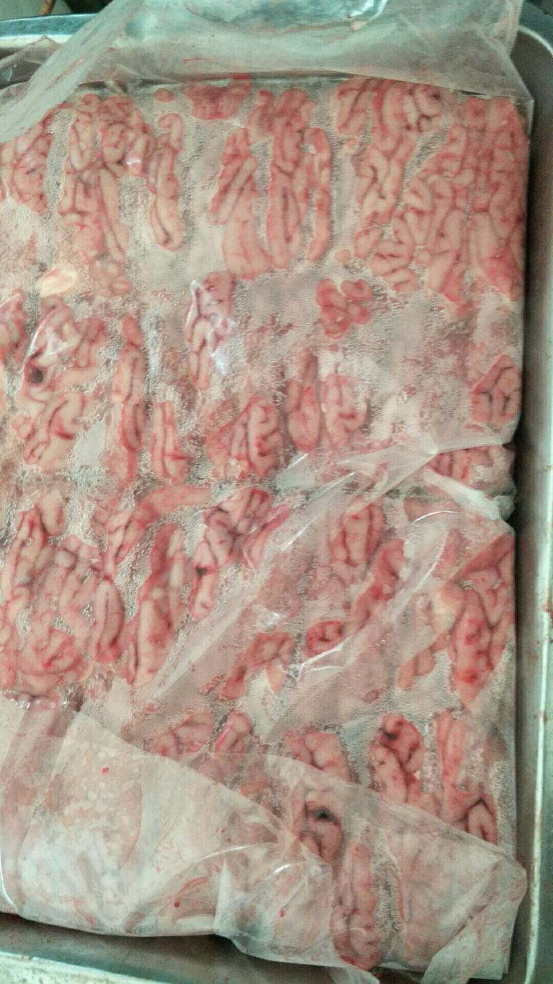 猪脑，脑花，新鲜冻猪脑