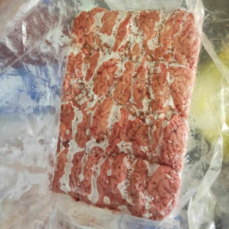 猪脑，脑花，新鲜冻猪脑