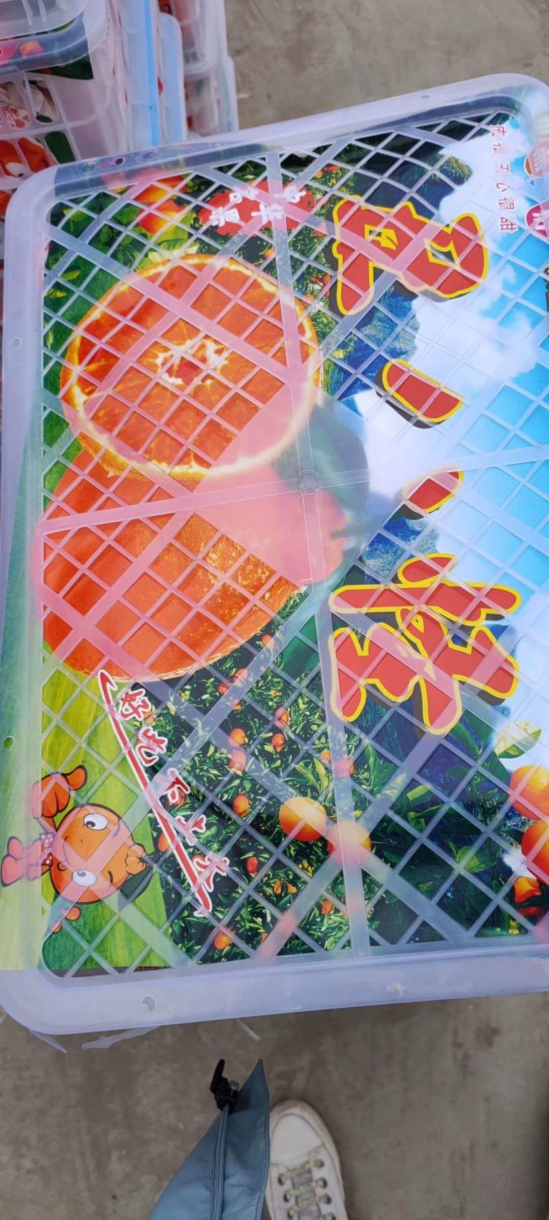 假丑橘、耙耙柑产地批发，鲜果现采，提供加工及包装