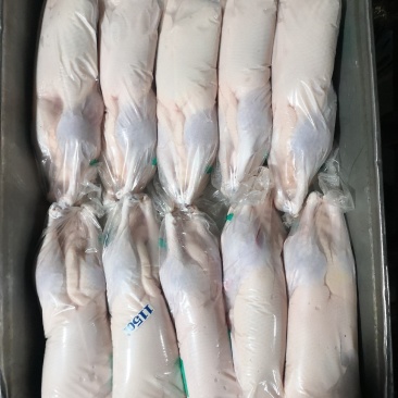 销售白条鸭700g—2500g