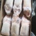 销售白条鸭700g—2500g