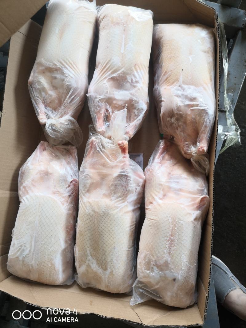 销售白条鸭700g—2500g