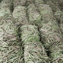 豆角，红豆角，大量上市，产量同优，价格优美。欢迎新老客户