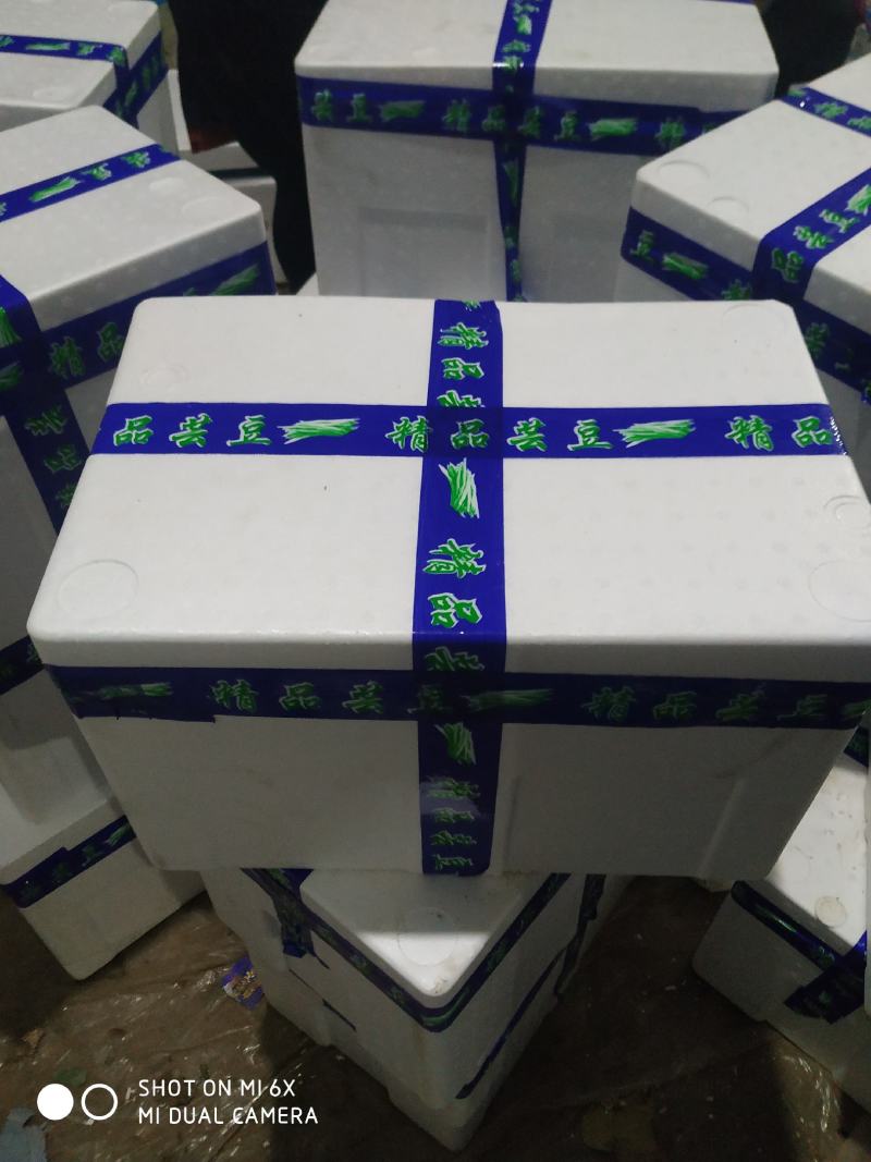 山东莘县芸豆大量上市万亩基地直供量大从优保质保量