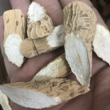 特级全粉牛大力（中）条条精选，条条爆粉，无硫磺