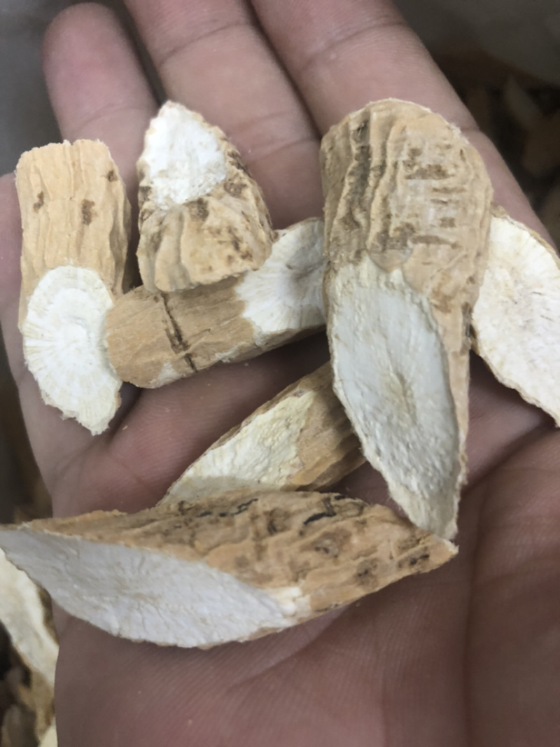 特级全粉牛大力（中）条条精选，条条爆粉，无硫磺