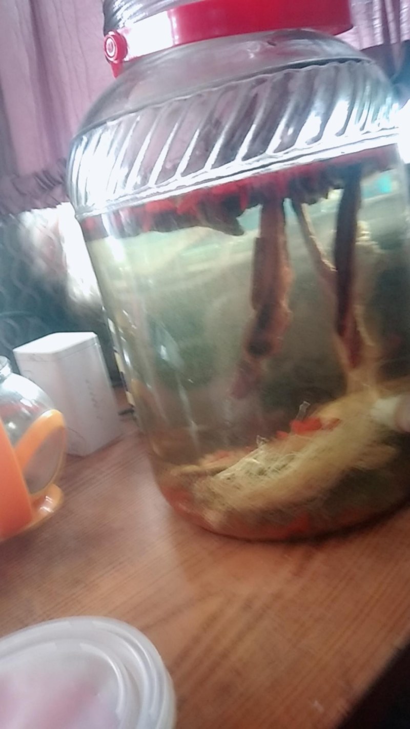 鹿鞭泡酒料6件套批发有货