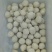 丸子全家福，丸子混装，丸子混搭，丸子大礼包，厂家直销