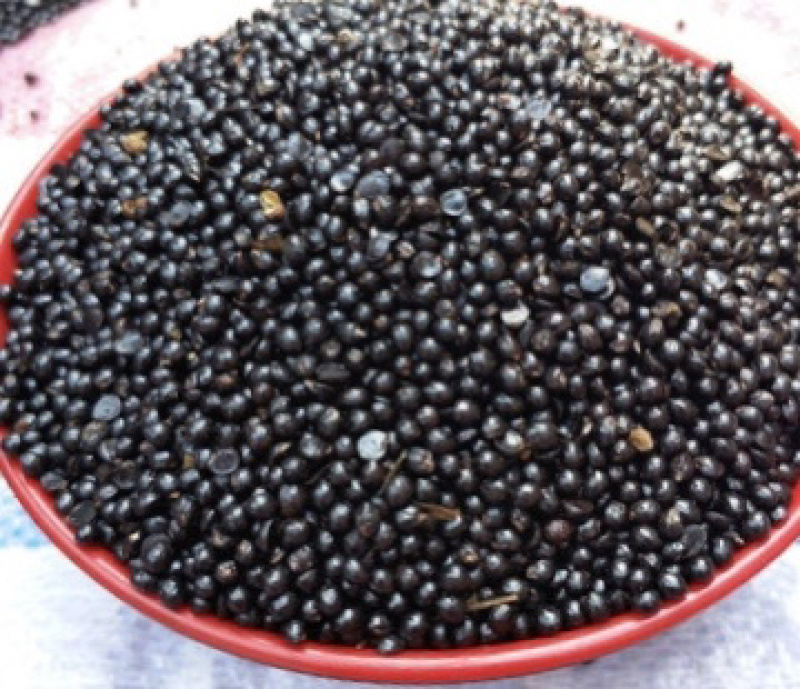 大量批发花椒籽，量大从优