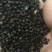 大量批发花椒籽，量大从优