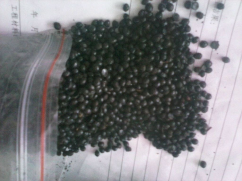 大量批发花椒籽，量大从优