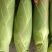 玉米水果玉米花糯质优价美一手好货走货省心便利