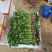 大量叶菜上市了价格随行