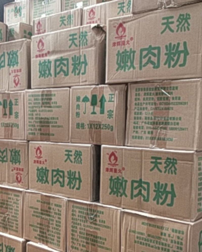 粤珍轩®/津辉星火®天然正宗松肉粉/嫩肉粉