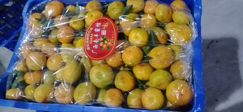 广西南丰蜜橘，可发快递九斤38元包邮，诚信代办，看货订园