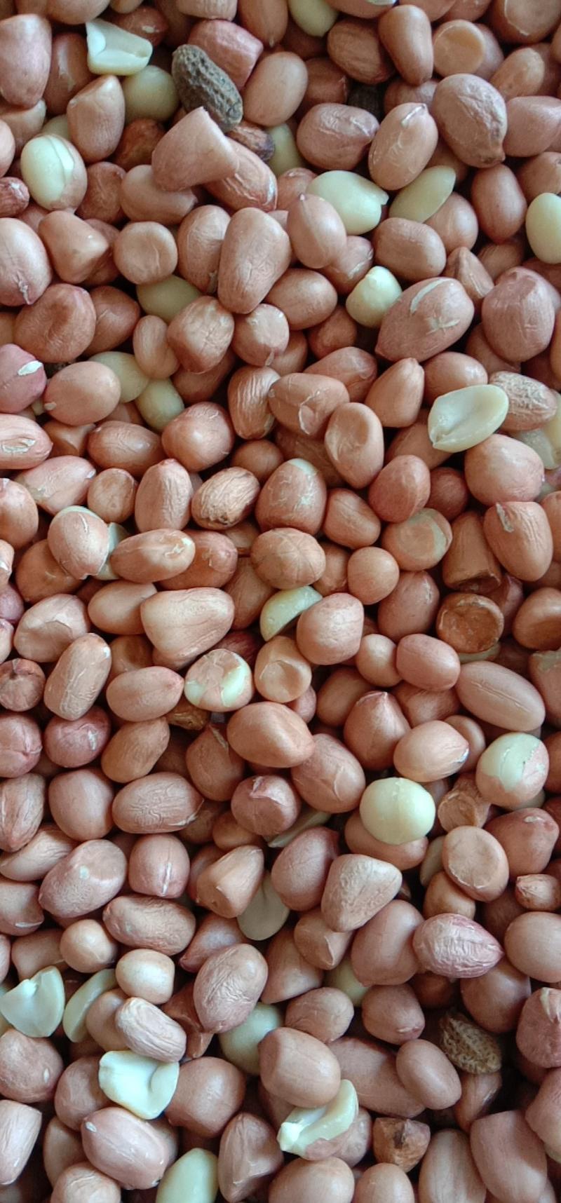 优质农产品花生果花生米颗粒饱满，纯干通货。