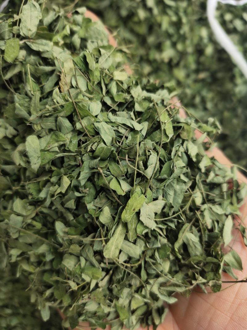 野生鸡骨草叶相思叶鸡骨草茶颜色青绿无杂质，一手货源