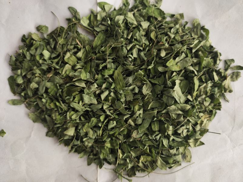 野生鸡骨草叶相思叶鸡骨草茶颜色青绿无杂质，一手货源