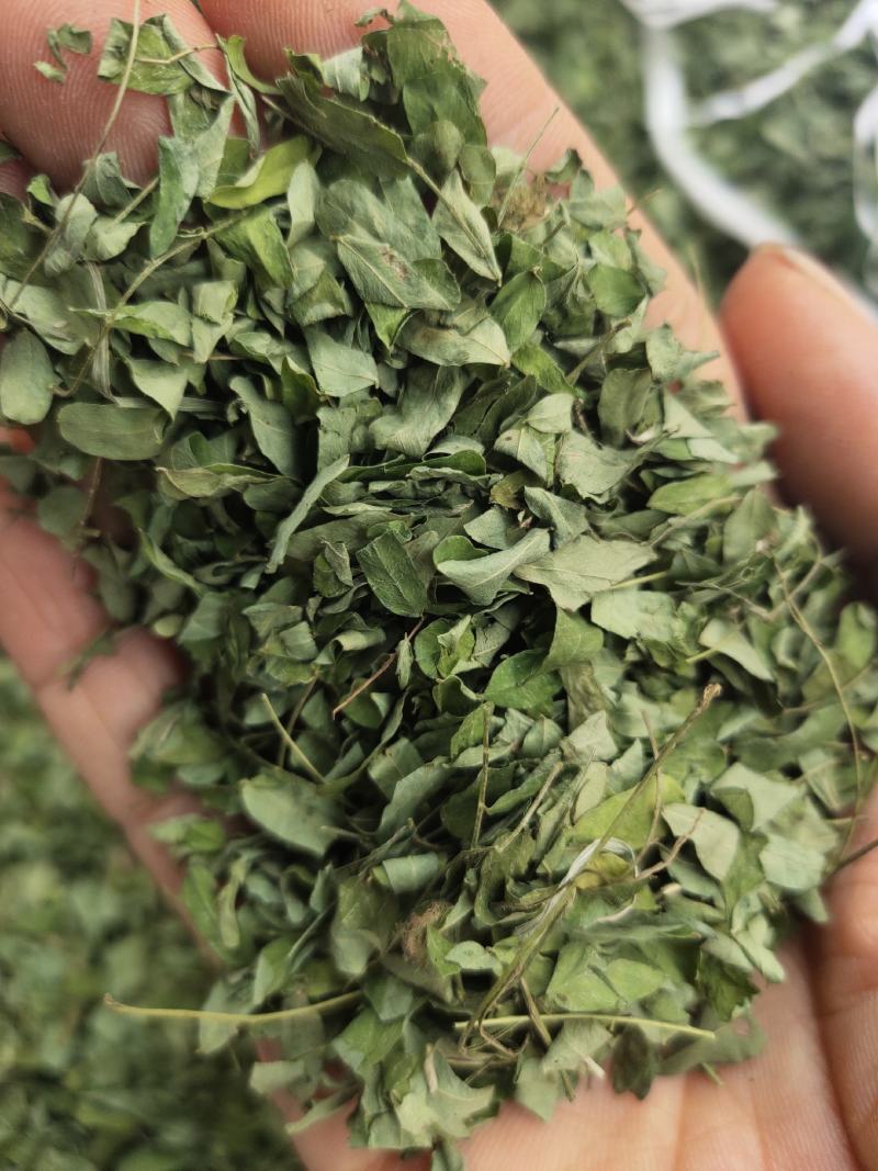 野生鸡骨草叶相思叶鸡骨草茶颜色青绿无杂质，一手货源