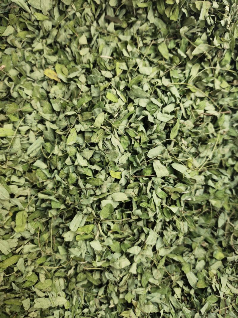 野生鸡骨草叶相思叶鸡骨草茶颜色青绿无杂质，一手货源
