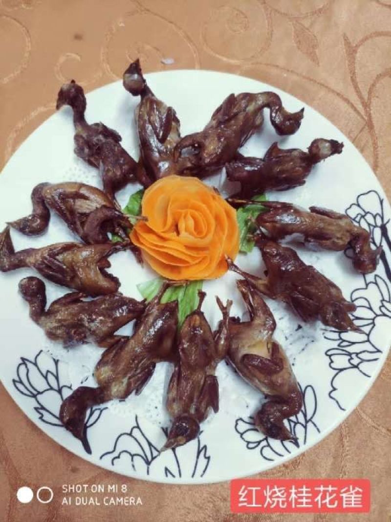 芦丁鸡白条，芦丁鸡肉，商品鸡，舌尖上的养生美味