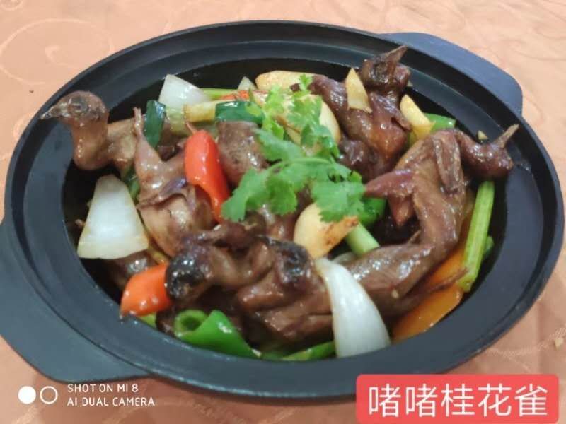 芦丁鸡白条，芦丁鸡肉，商品鸡，舌尖上的养生美味