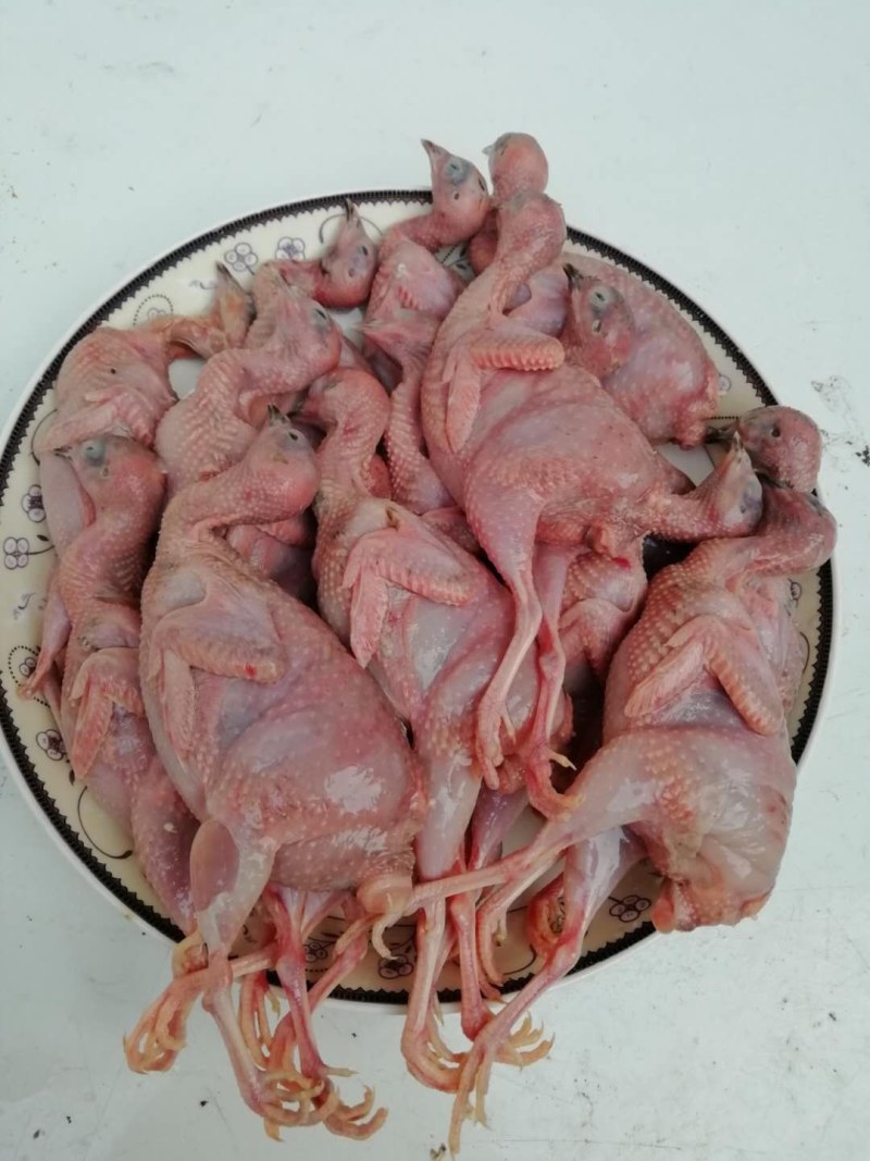 芦丁鸡白条，芦丁鸡肉，商品鸡，舌尖上的养生美味