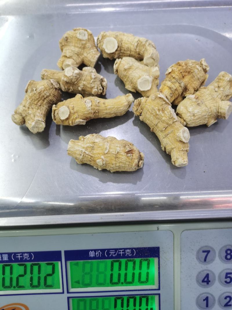 加拿大进口【西洋参】20克15克10克粒头短支