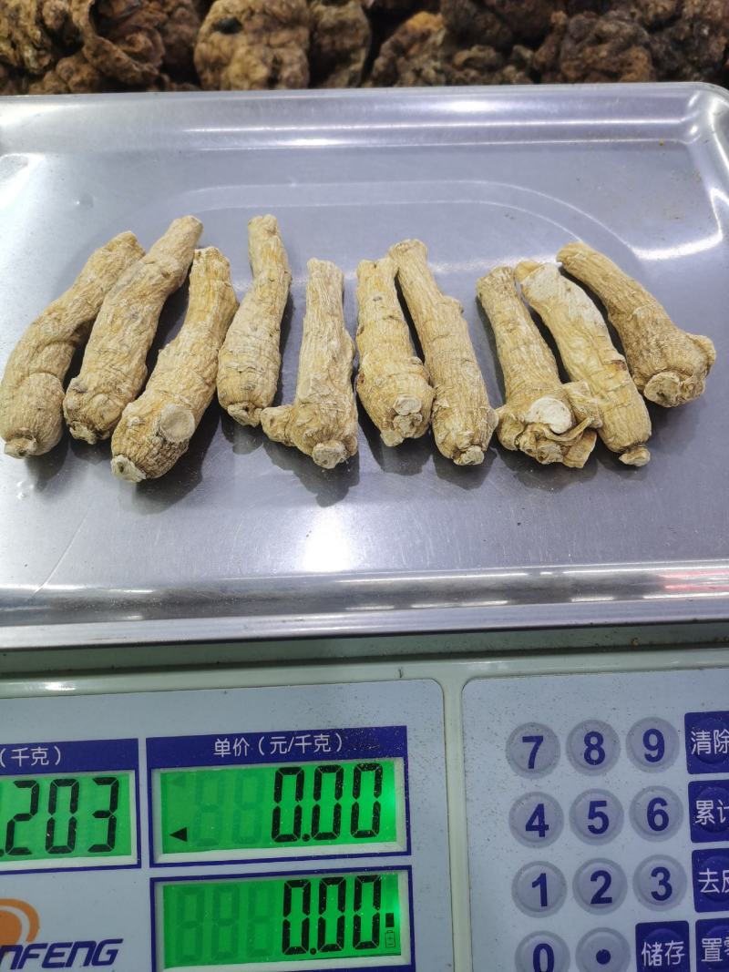 西洋参个子加拿大进口10克15克20克！