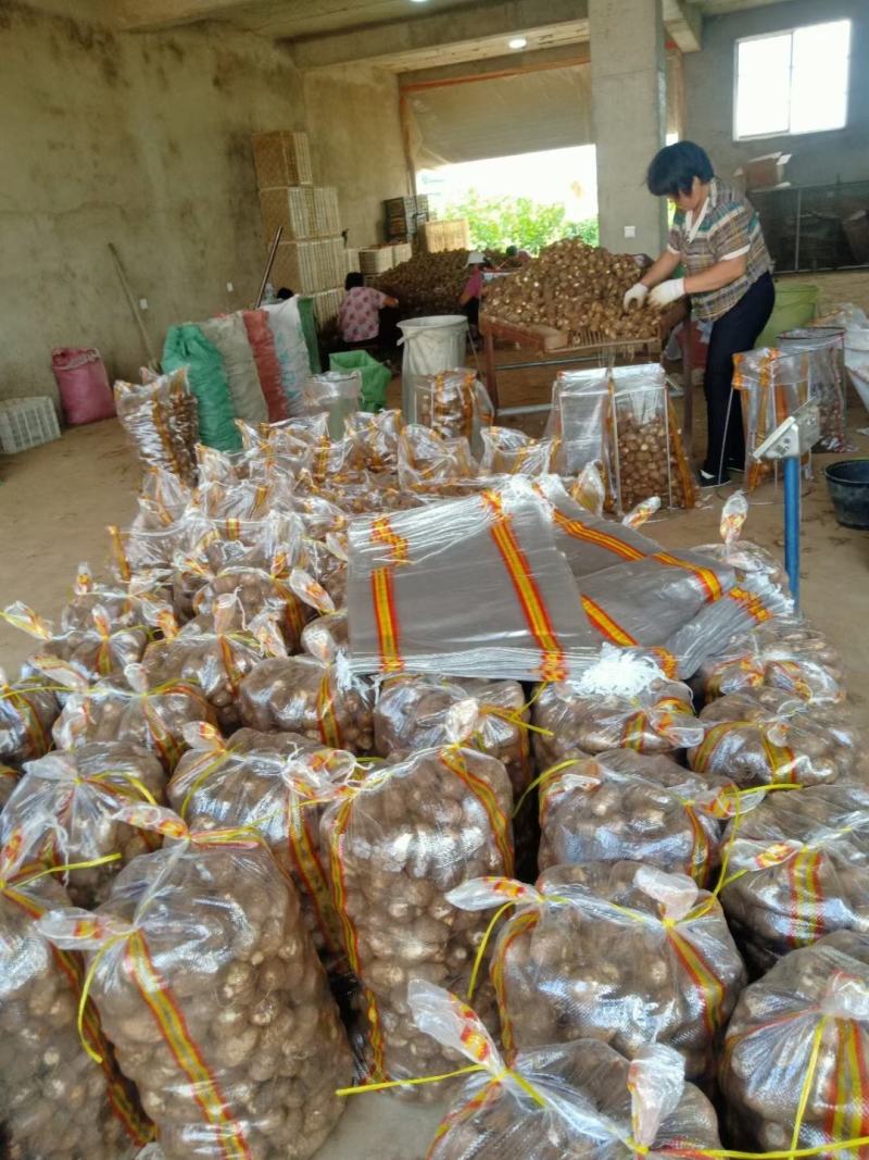 山东芋头产地芋头批发8520毛芋头价格便宜