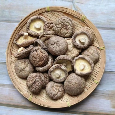 广州人大号香菇干河南香菇干炒菜配料一件代发