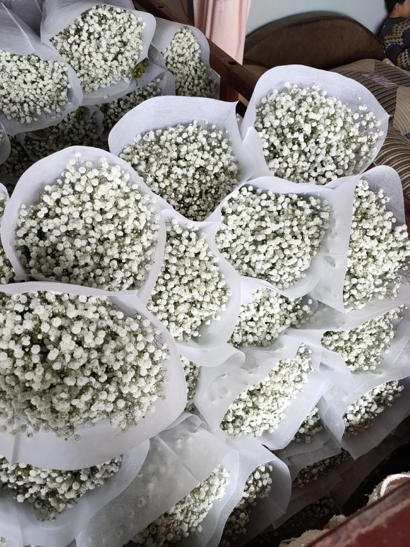 精品花卉满天星干花花束