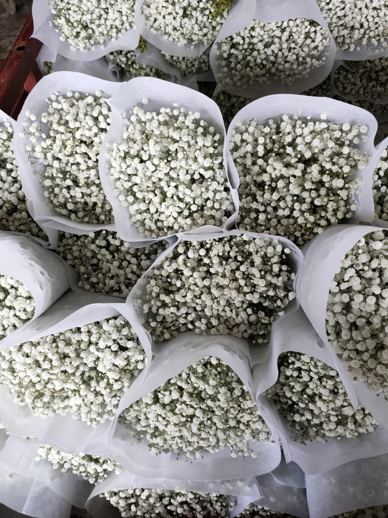 精品花卉满天星干花花束
