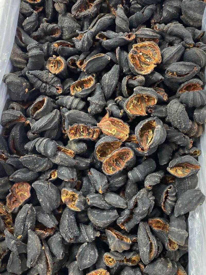 海参俄罗斯北极红海参皮深海水产干货肉质厚实有韧性营养丰富