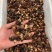 海参花参嘴深海海参干货无添加肉质韧劲脆爽炖汤煲粥泡酒黄色