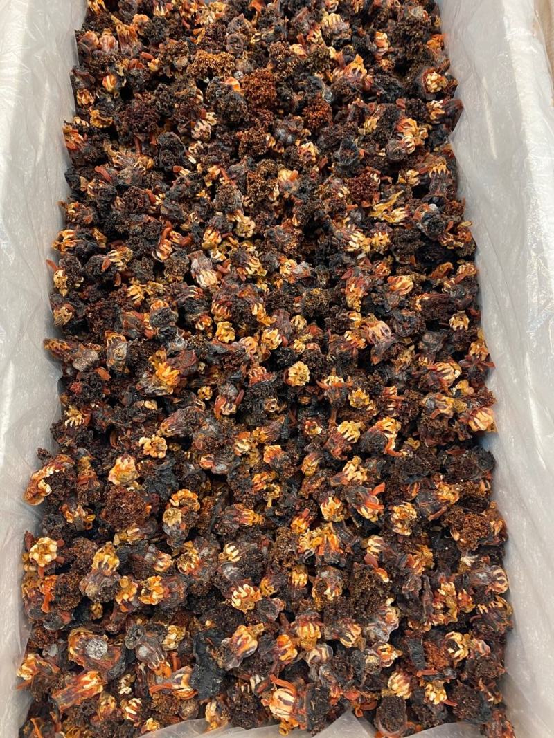 海参花参嘴深海海参干货无添加肉质韧劲脆爽炖汤煲粥泡酒黄色
