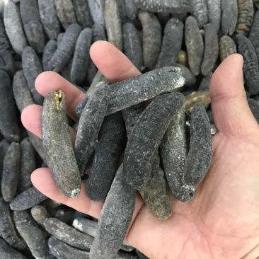 海参非洲秃参明秃海参深海水产干货肉质紧凑厚实有韧性营养高