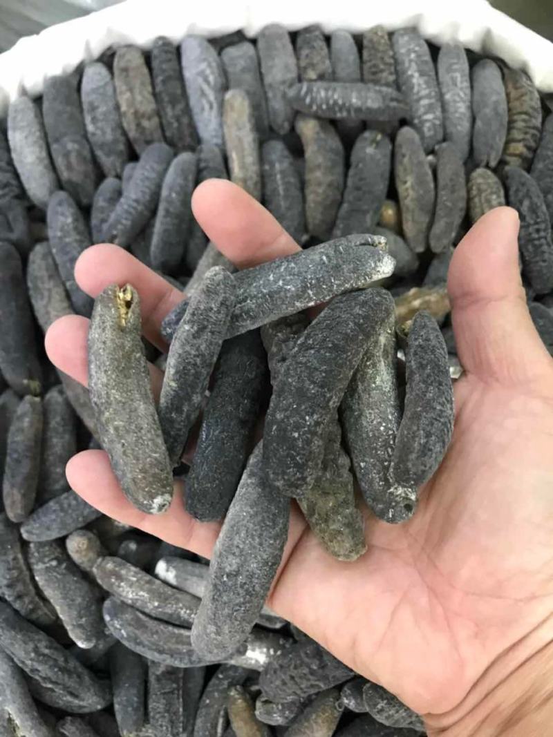 海参非洲秃参明秃海参深海水产干货肉质紧凑厚实有韧性营养高