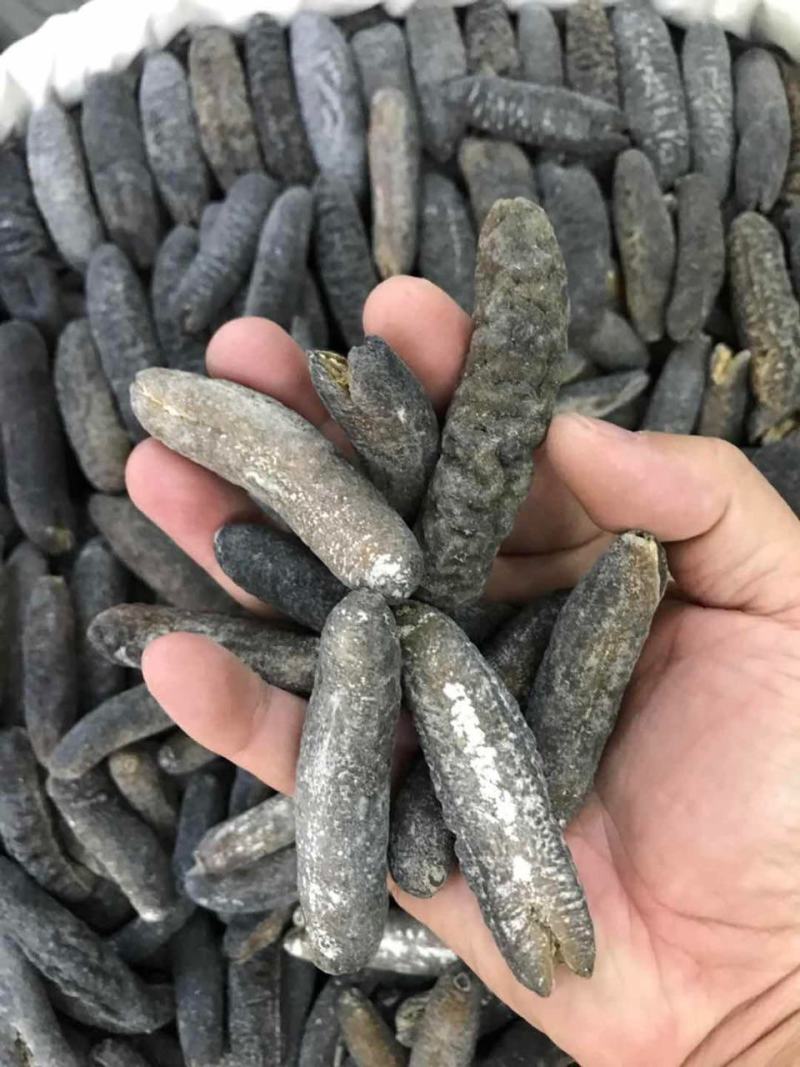 海参非洲秃参明秃海参深海水产干货肉质紧凑厚实有韧性营养高