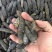 海参非洲秃参明秃海参深海水产干货肉质紧凑厚实有韧性营养高
