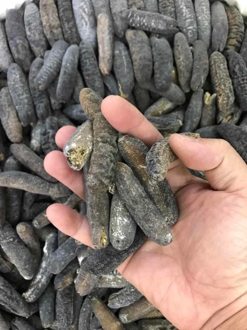 海参非洲秃参明秃海参深海水产干货肉质紧凑厚实有韧性营养高