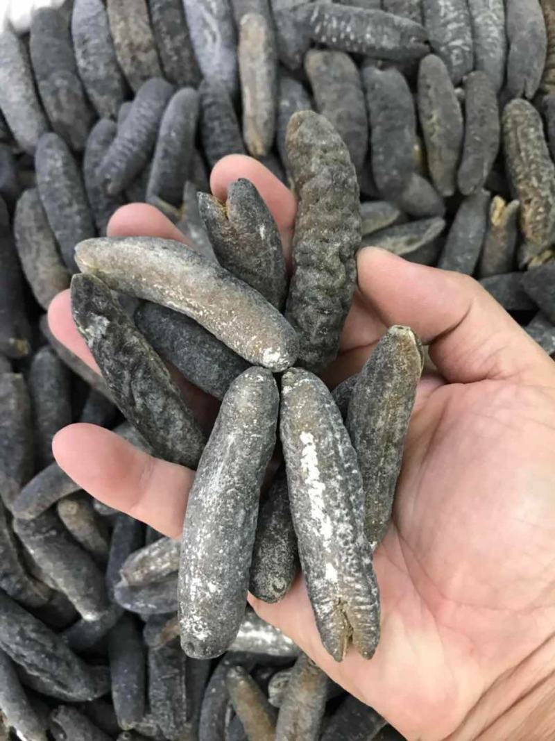 海参非洲秃参明秃海参深海水产干货肉质紧凑厚实有韧性营养高